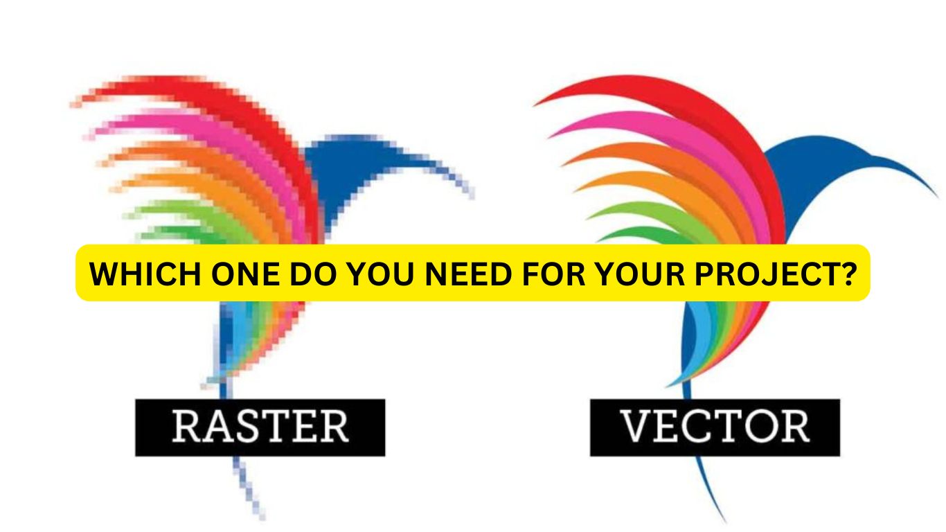 Vector vs Raster Graphics: When to Use Each